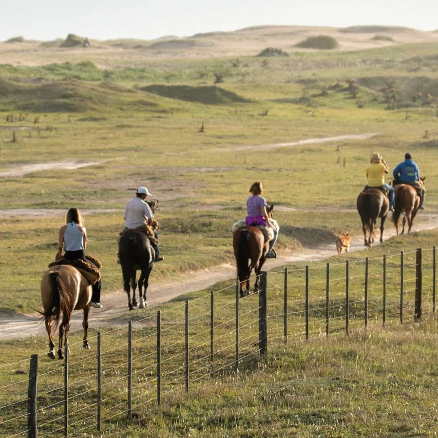 Cabalgata en la playa retiro Miramar Argentina
