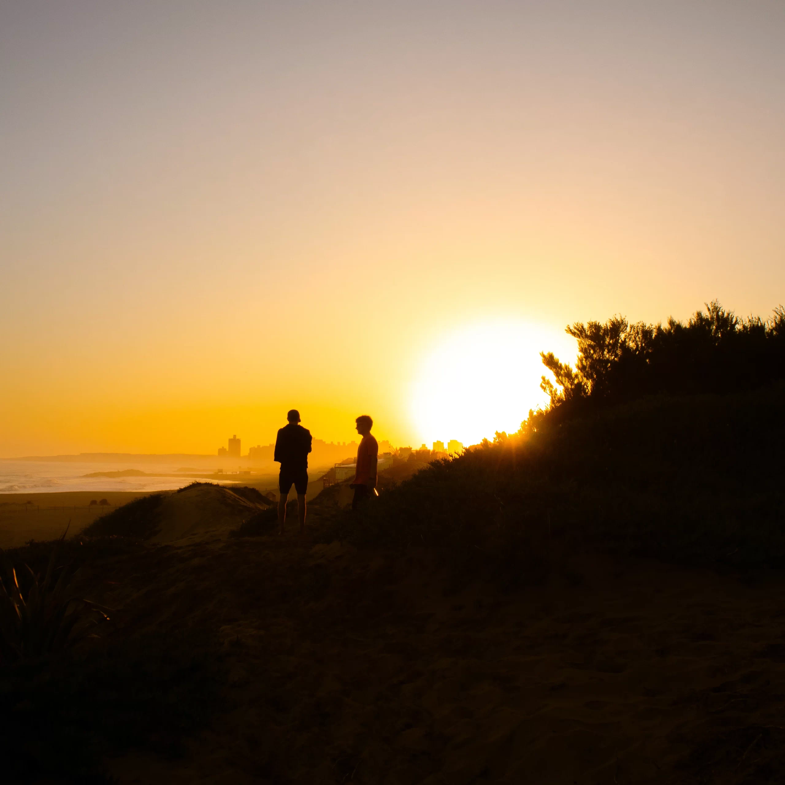 Retiro surf, bosque energético Miramar Argentina