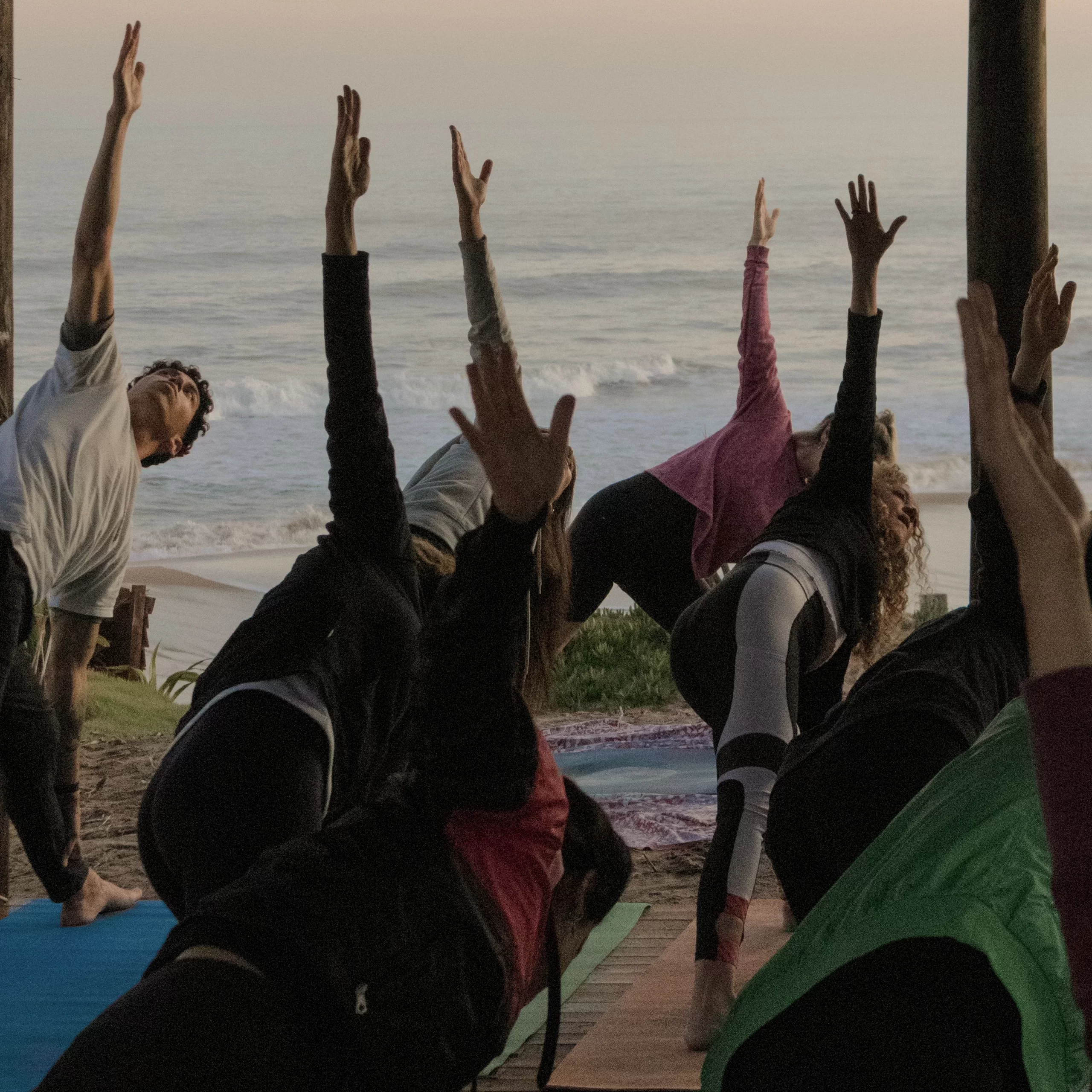 Organizá tu retiro de yoga, bosque energético Miramar Argentina