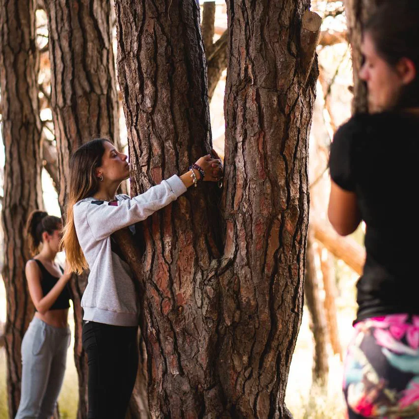 Bosque energético, energía de los árboles - Miramar Argentina