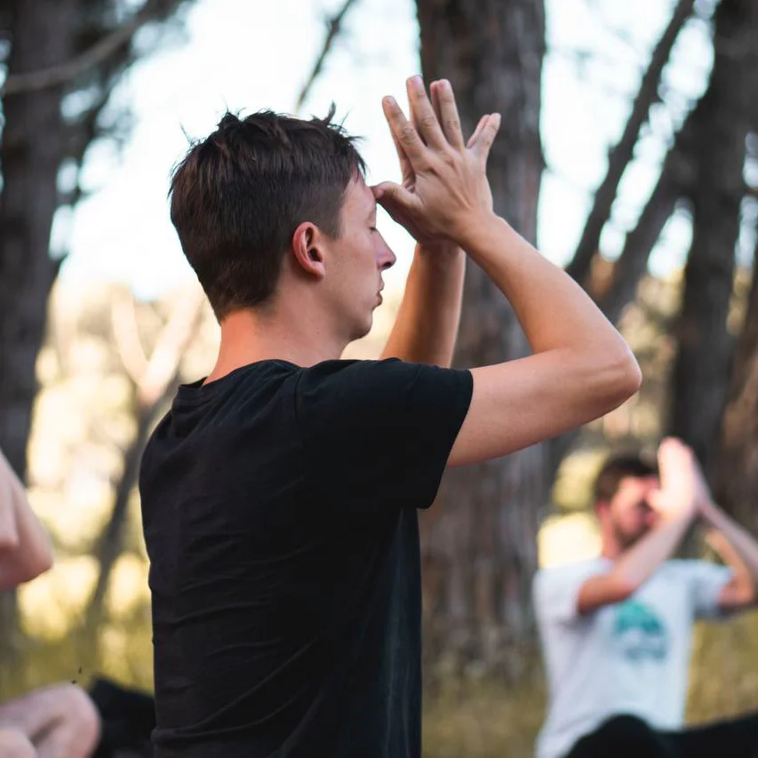 Bosque energético, energía de los árboles - Miramar Argentina