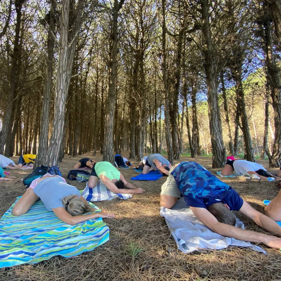Bosque energético, energía de los árboles - Miramar Argentina